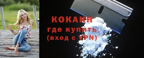 шишки Горняк