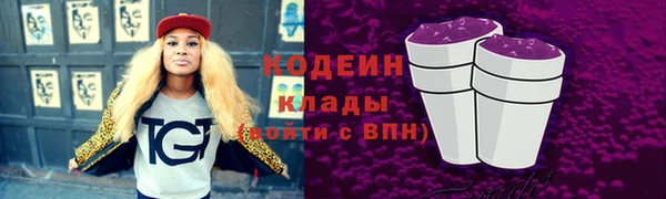 шишки Горняк