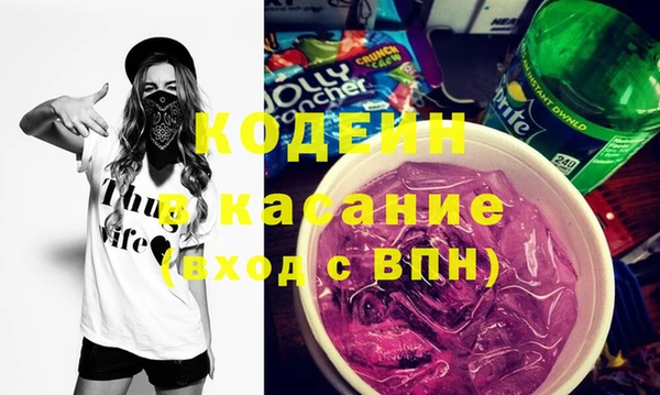 шишки Горняк