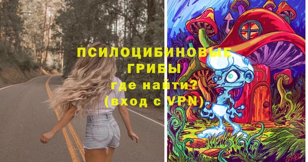 стаф Горно-Алтайск