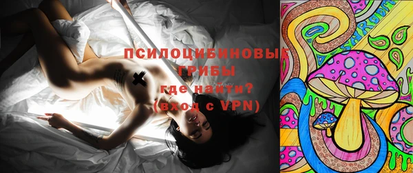 шишки Горняк
