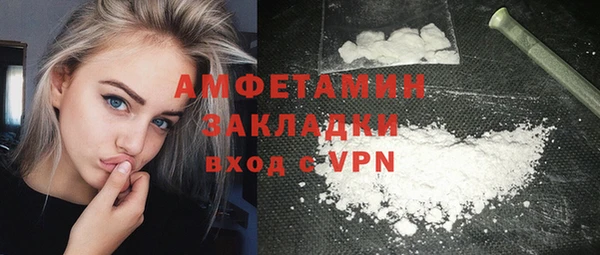 шишки Горняк