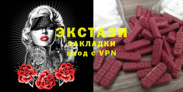 шишки Горняк
