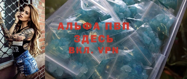 шишки Горняк