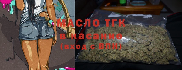 шишки Горняк