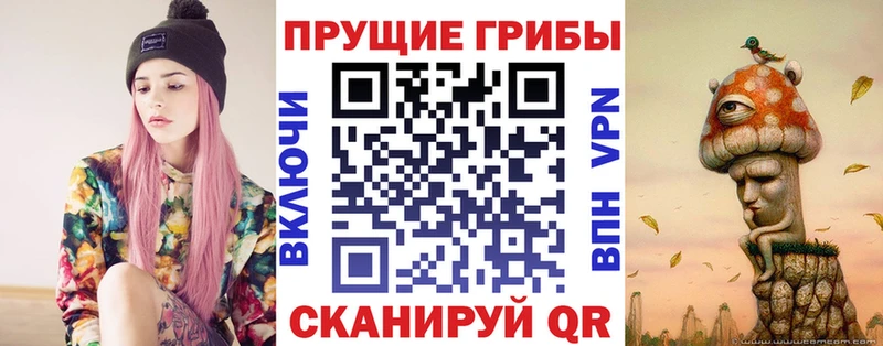 Купить закладки  Инта  Псилоцибиновые грибы Psilocybine cubensis 